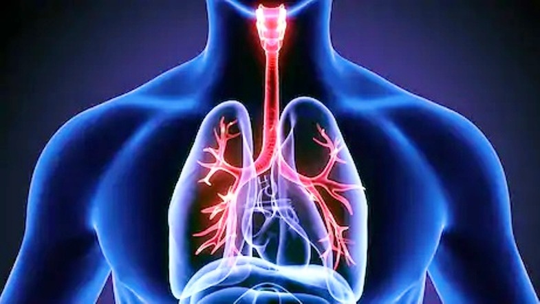 respiratory_medicine