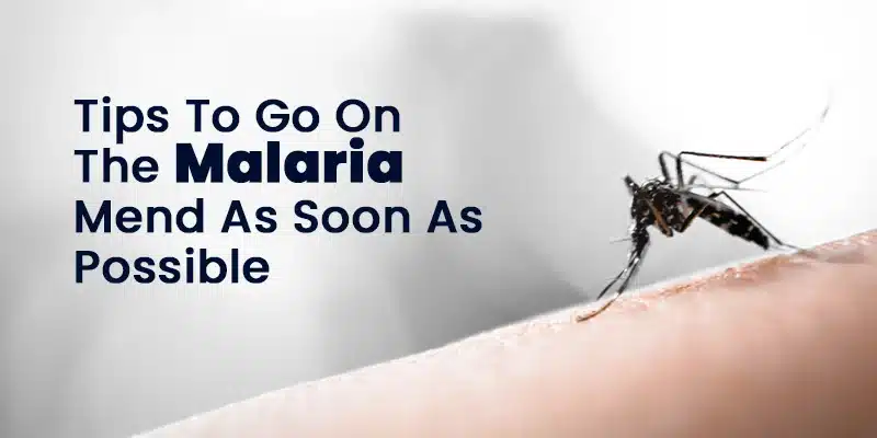 Recovery Tips for Malaria