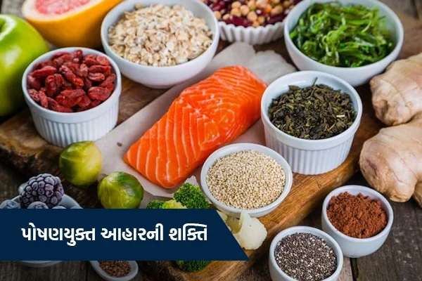 પોષણશીલ-આહાર